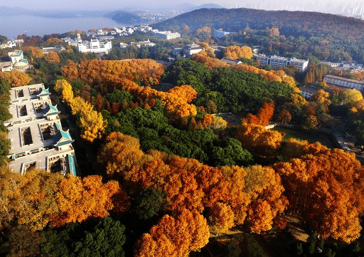 武漢大學(xué)宣布"無(wú)需預(yù)約"之后:全國(guó)媒體點(diǎn)贊,學(xué)生認(rèn)為"一些問(wèn)題得到了