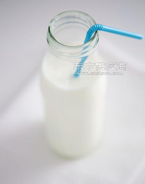 武漢綠洲海食品 匠心打造優質豆奶，傳遞健康與美味