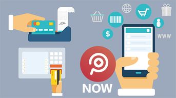 探索網絡技術服務中的多種支付方式